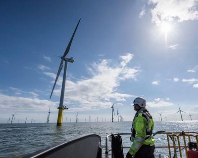 Labour faces risks on energy despite ‘record’ wind power auction