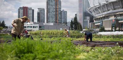 How street vendors and waste pickers can help cities manage growth