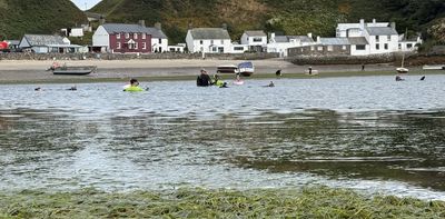 Seagrass meadows could be good for your health – yet they’re disappearing fast