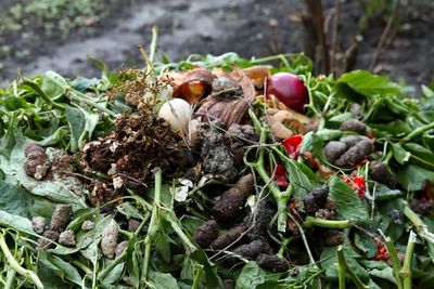 7 Compost Layering Mistakes That Stop Heat Production