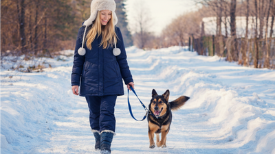 I didn’t expect AI to help with the winter blues — but these 9 prompts actually work