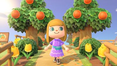Full Animal Crossing: New Horizons guide for island life