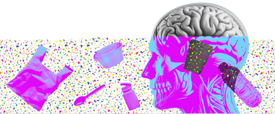 Thursday briefing: Is your body really full of microplastics?