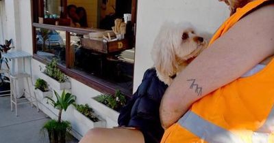 This Photographer Captures Perfectly Timed Street Coincidences In 50 Photos