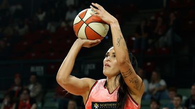 Wilson shoots lights out as Lynx take down Bendigo