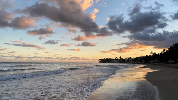 'This Is Our Town': Chilling Warning Found With Five Decapitated Heads Hanging on Ecuador Beach