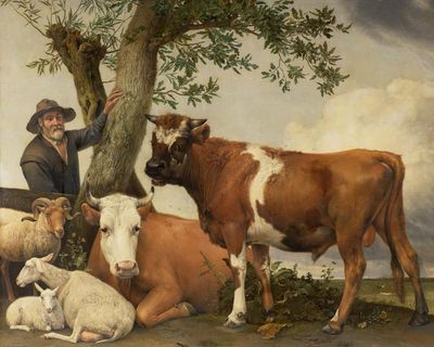 ‘Bigger and lower’: bull in Dutch painting once had much larger testicles