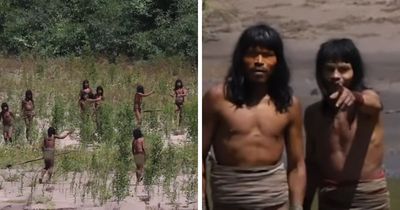 Never-Before-Seen Footage Of Uncontacted Amazonian Tribe Stuns The World, But Many Are Suspicious