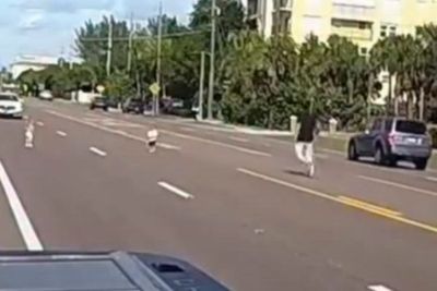 Heart-stopping moment hero rescues toddlers from middle of Florida street