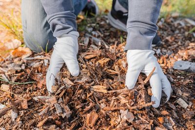 Why Gardeners in the Carolinas Are Skipping Mulch This Winter—And What Experts Say to Do Instead