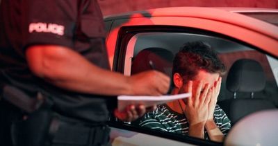 Police Alert: This One Phrase at a Traffic Stop Can Trigger a Full Vehicle Search