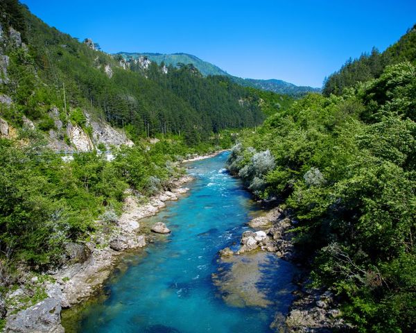 Trump-linked figures lead talks on $200m European pipeline contract