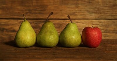 These 26 Odd-One-Out Questions Are Designed To Trick Your Mind – Try To Outsmart Them