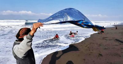 Photographer Captured 40 Perfectly Timed Shots Where Everyday Life Gets Weird