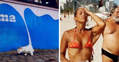 35 Street Photos That Prove Timing Is Everything, As Shared On This Instagram Page