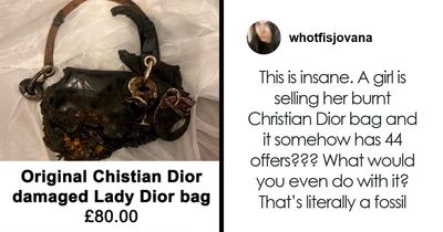 “It’s Cremated”: Unhinged Vinted Listing For A Dior Handbag Goes Viral — And People Can’t Keep It Together