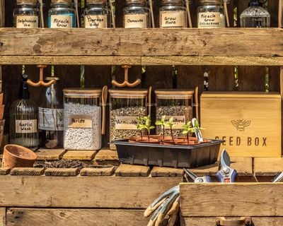 Now is the perfect time to sort out your garden seeds, the Monty Don way