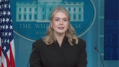 Karoline Leavitt 'Went Nuts', Calls Reporter 'Biased, Left-Wing Hack' After ICE-Related Question