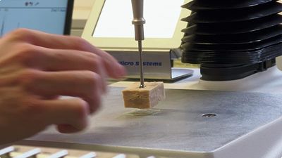 Lab-grown proteins for a hungry world - made in Europe