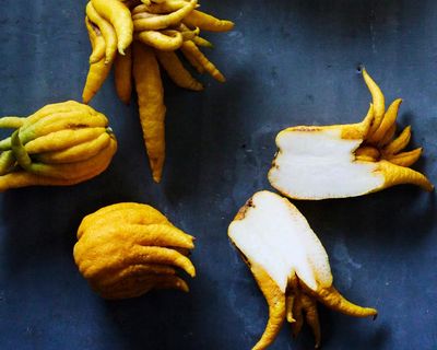 ‘Garden of Eden’: the Spanish farm growing citrus you’ve never heard of