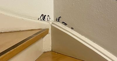 50 Cool Interior Design Ideas That Might Inspire You To Upgrade Your Home