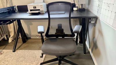 I tested the ProtoArc Flexer Pro - a comfortable office chair with lumbar support that's going to be divisive