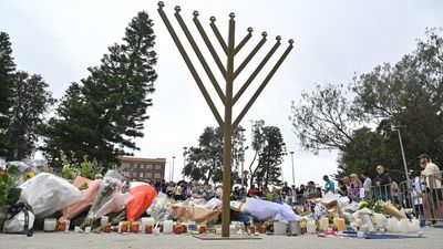 Hate speech and gun reform to be tackled separately: PM