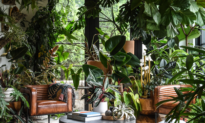 Garden Diaries: In Growing an Urban Jungle, Hilton Carter Found More Than a Love of Plants – He Discovered a Better Version of Himself