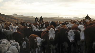 South American Mercosur bloc to sign long-awaited trade deal with EU