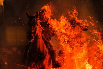 Horses leap through flames and pets go to church in Spanish animal rituals honoring St. Anthony