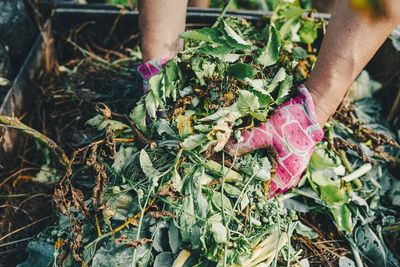 Extension Offices Are Sounding the Alarm on This Popular Compost Ingredient