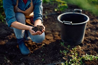 6 Soil Additives That Could Backfire in Cold Weather—Experts Warn to Skip These in January