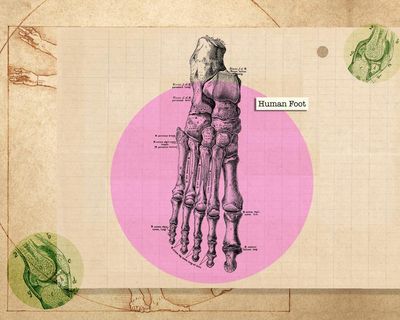 ‘We stick them in shoes and forget about them’: how to really look after your feet