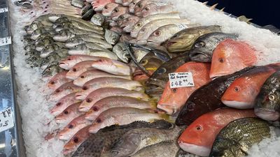 Fish eaters pay more for fillets as ban guts supply