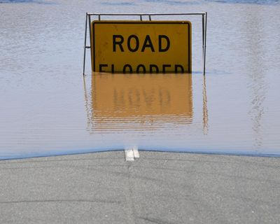 Woman killed by falling tree branch in NSW storms as landslide and flood warnings issued for Sydney