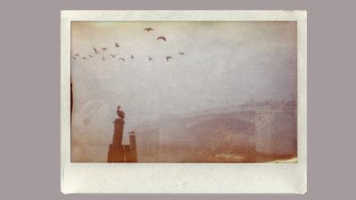 “Make this look like film” –I tried VSCO’s new AI prompt photo editing. It’s not perfect, but it did generate retro looks