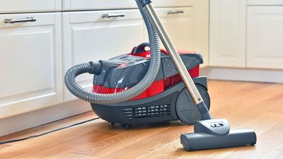 What exactly is a canister vacuum, and what are they good for?