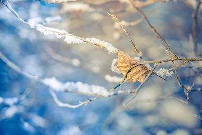 7 Things Gardeners Regret Not Doing in January—Don’t Make These Costly Mistakes