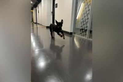 Pete Wicks welcomes new family member after loss ‘broke his heart’