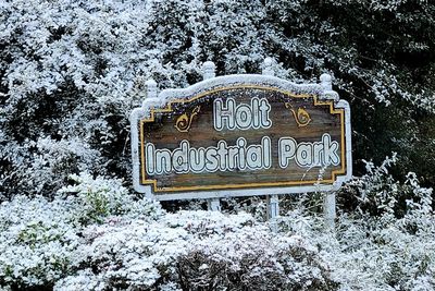 Small part of Sunshine State becomes Snowy State as Florida gets snow second year in a row