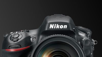 The Nikon D800 is old, cheap and still takes gorgeous photos – I think it’s a great lens platform