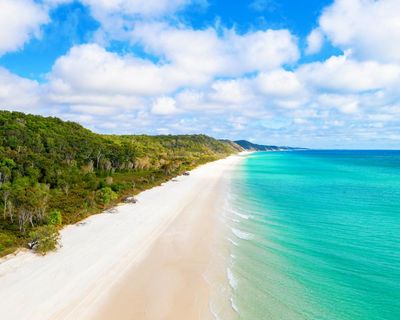 Woman’s body found surrounded by dingoes on popular Australian tourist island K’gari