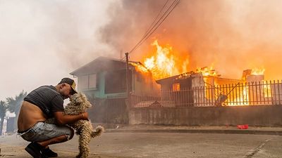 Wildfires in Chile kill at least 19, force 50,000 to evacuate