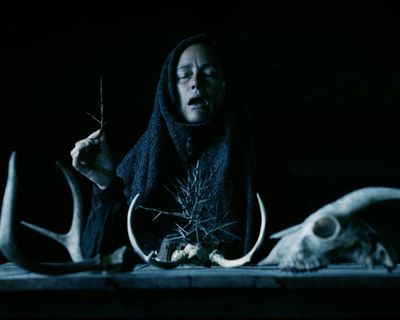 Mother of Flies review – horror in the woods as house guests are microdosed with psychedelics