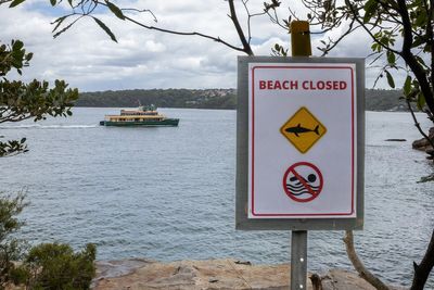 Sydney in shock after three shark attacks in just over 24 hours