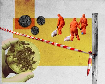 Why does Sydney pump sewage into the ocean and put its famous beaches at risk of poo balls?