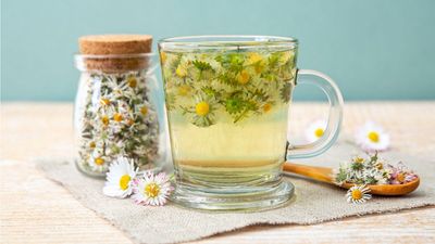 You Don’t Need Soil to Grow a Tea Garden on Your Kitchen Windowsill – Experts Say Start With These 3 Easy Herbs
