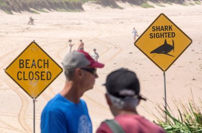 Third shark attack in 36 hours sparks panic in Sydney