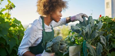 Why we need to talk about the root causes of food insecurity