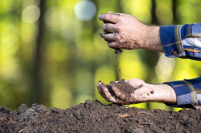 Why You Shouldn’t Trust TikTok’s ‘No-Dig’ Method in Clay Soil